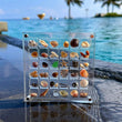 Acrylic Seashell Display Case | 36-64 Grids Organizer Box