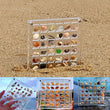 Acrylic Seashell Display Case | 36-64 Grids Organizer Box