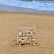 Acrylic Seashell Display Case | 36-64 Grids Organizer Box