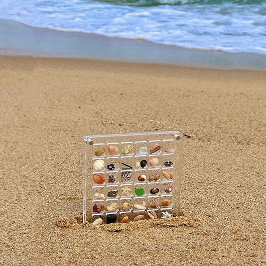 Acrylic Seashell Display Case | 36-64 Grids Organizer Box